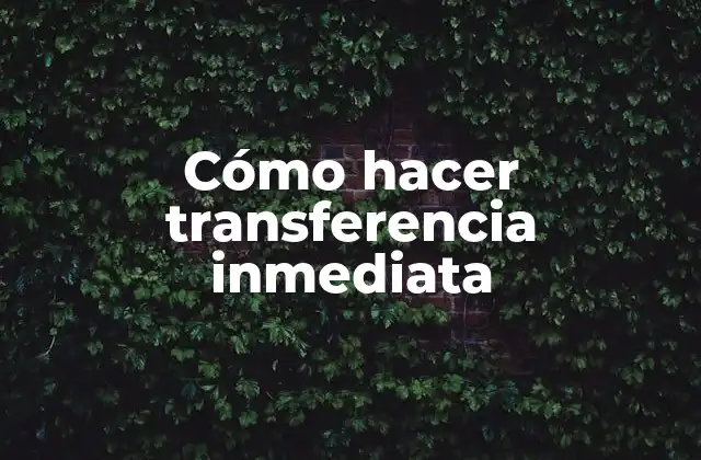 Transferencia inmediata: ¿qué es y cómo funciona?