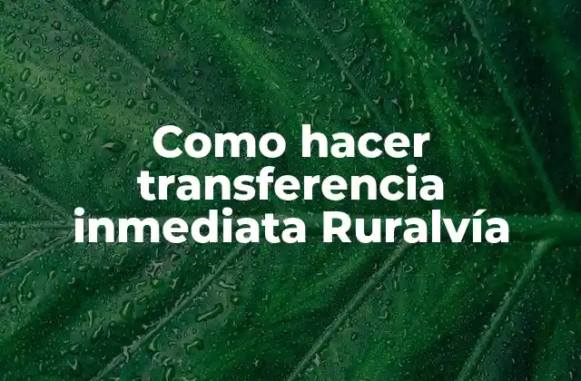 Como Hacer Transferencia Inmediata Ruralvía