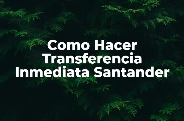 Como Hacer Transferencia Inmediata Santander