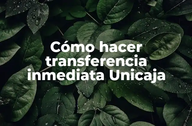 Cómo Hacer Transferencia Inmediata Unicaja