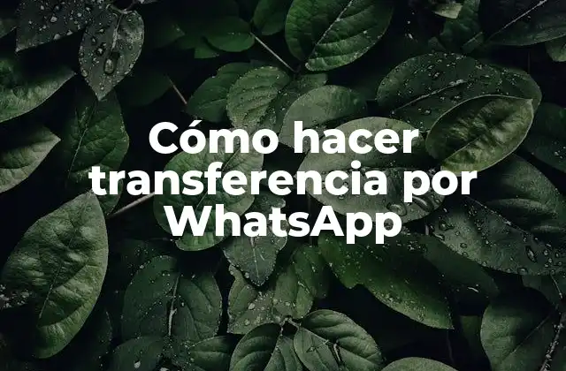 Cómo Hacer Transferencia por Whatsapp