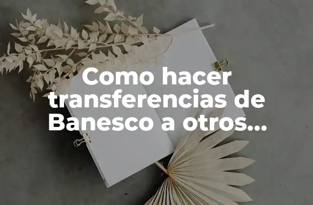 Como Hacer Transferencias de Banesco a Otros Bancos