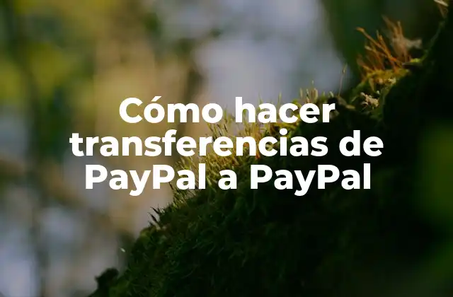Cómo Hacer Transferencias de Paypal a Paypal