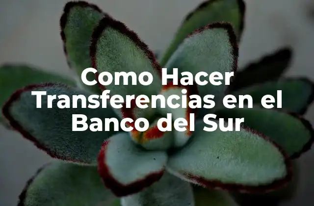 Como Hacer Transferencias en el Banco Del Sur