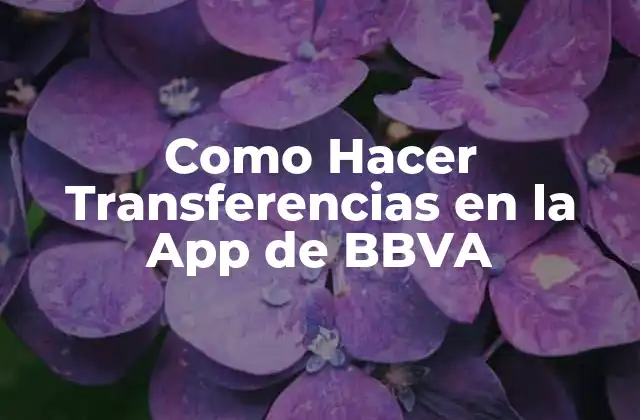 Como Hacer Transferencias en la App de Bbva