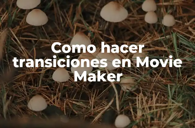 Como Hacer Transiciones en Movie Maker