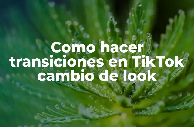 Como Hacer Transiciones en Tiktok Cambio de Look 2 Transiciones en TikTok cambio de look