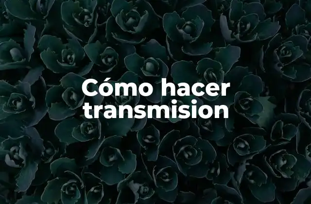 Cómo Hacer Transmision