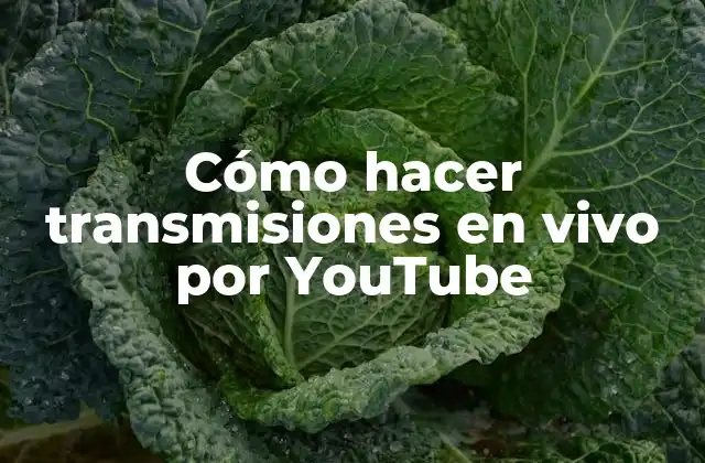 Cómo Hacer Transmisiones en Vivo por Youtube