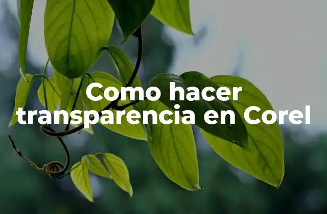 Como Hacer Transparencia en Corel