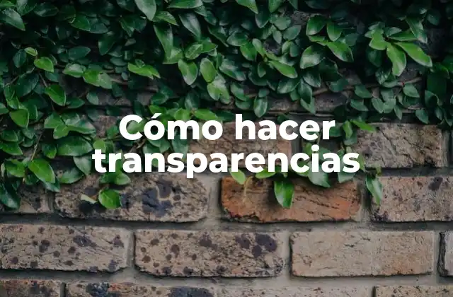Cómo Hacer Transparencias