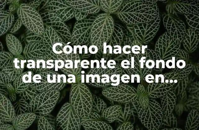 Cómo Hacer Transparente el Fondo de una Imagen en Photoshop