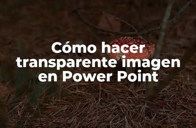 Cómo Hacer Transparente Imagen en Power Point 2 Cómo hacer transparente imagen en Power Point