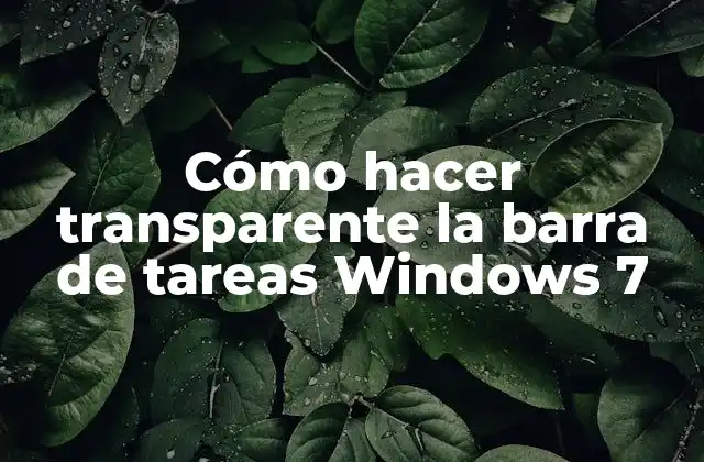 Cómo Hacer Transparente la Barra de Tareas Windows 7