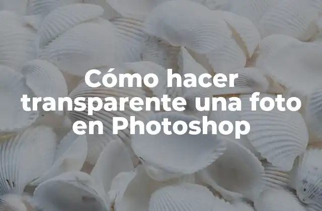 Cómo Hacer Transparente una Foto en Photoshop