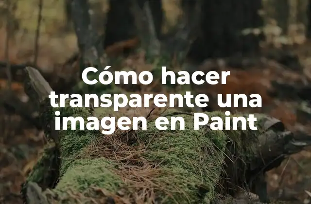Cómo Hacer Transparente una Imagen en Paint