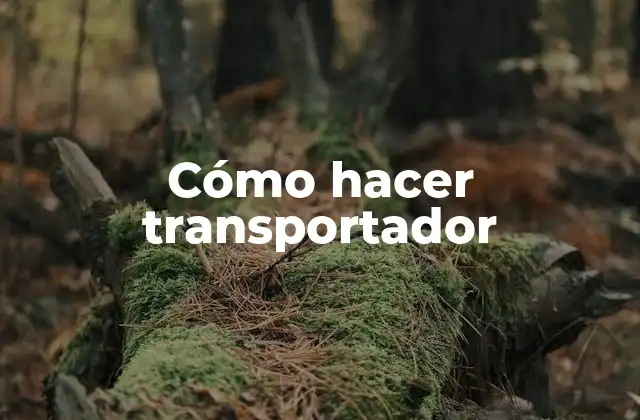 Cómo Hacer Transportador 2 Cómo hacer transportador