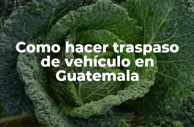 Como Hacer Traspaso de Vehículo en Guatemala