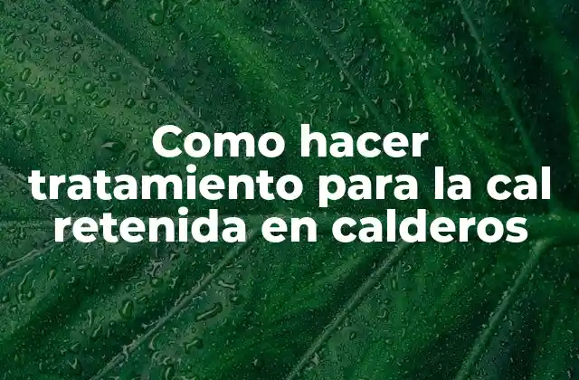 Como Hacer Tratamiento para la Cal Retenida en Calderos