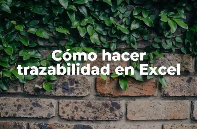 Cómo Hacer Trazabilidad en Excel