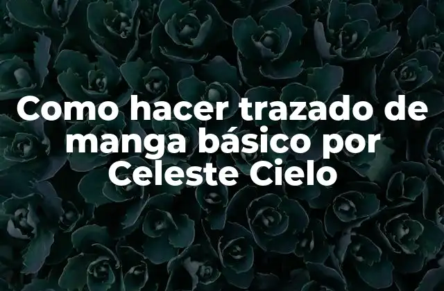 Como Hacer Trazado de Manga Básico por Celeste Cielo