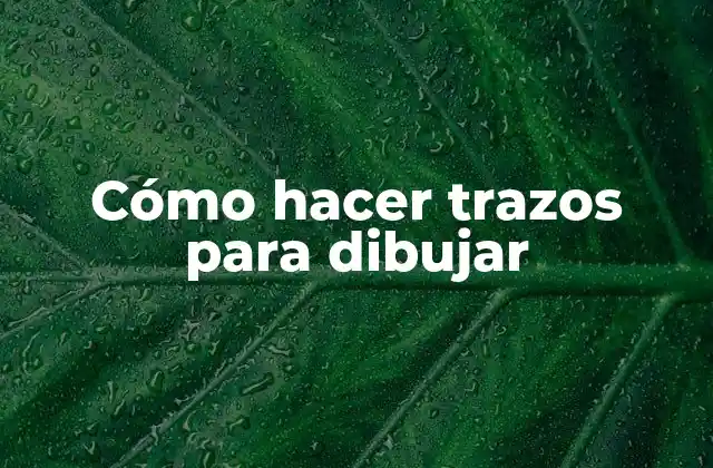 Cómo Hacer Trazos para Dibujar