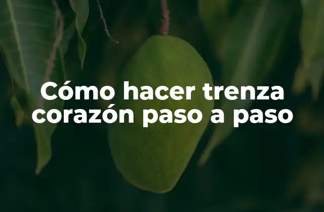 Cómo Hacer Trenza Corazón Paso a Paso