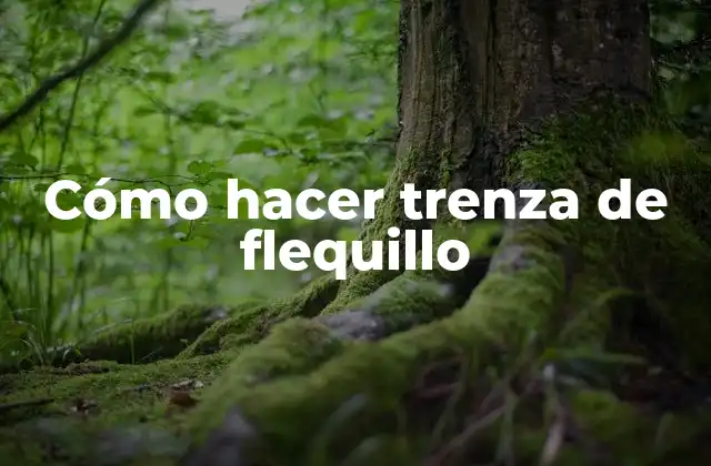 Cómo Hacer Trenza de Flequillo