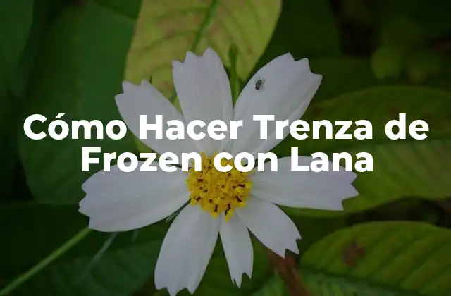Cómo Hacer Trenza de Frozen con Lana