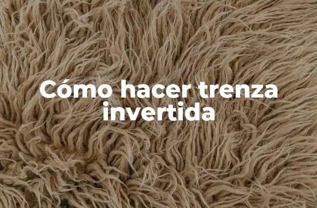 Cómo Hacer Trenza Invertida