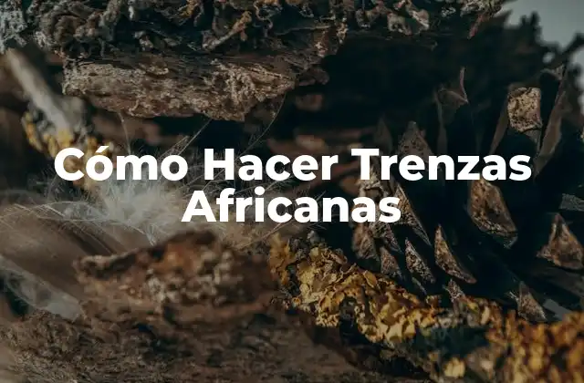 Cómo Hacer Trenzas Africanas