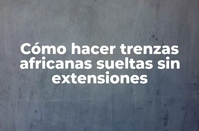 Cómo Hacer Trenzas Africanas Sueltas sin Extensiones 2 ¿Qué son las trenzas africanas sueltas sin extensiones?