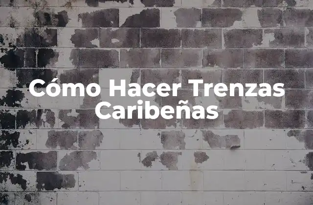 Cómo Hacer Trenzas Caribeñas