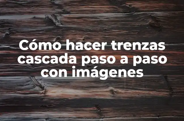 Cómo Hacer Trenzas Cascada Paso a Paso con Imágenes