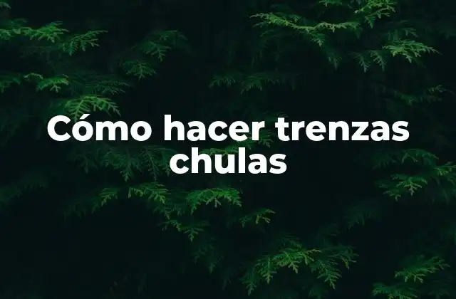 Cómo Hacer Trenzas Chulas