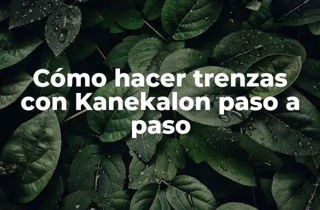 Cómo Hacer Trenzas con Kanekalon Paso a Paso