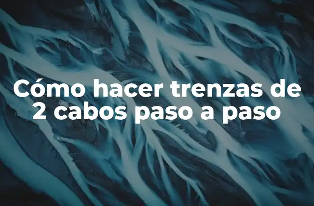 Cómo Hacer Trenzas de 2 Cabos Paso a Paso
