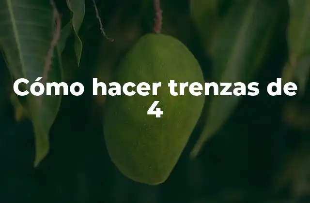 Cómo Hacer Trenzas de 4