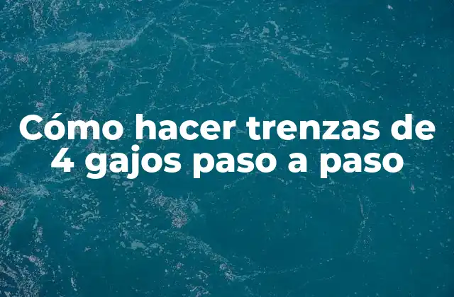 Cómo Hacer Trenzas de 4 Gajos Paso a Paso 2 Cómo hacer trenzas de 4 gajos