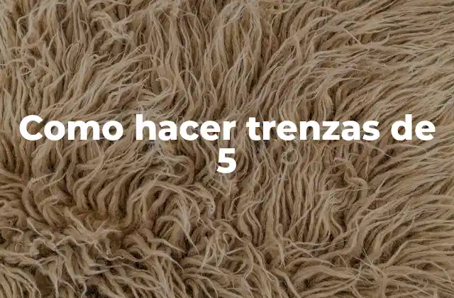 Como Hacer Trenzas de 5