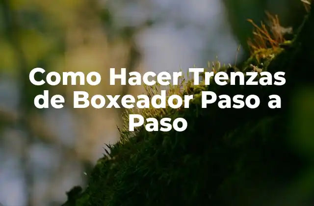 Como Hacer Trenzas de Boxeador Paso a Paso 2 ¿Qué son las Trenzas de Boxeador?