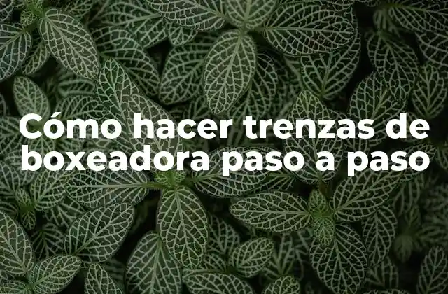 Cómo Hacer Trenzas de Boxeadora Paso a Paso
