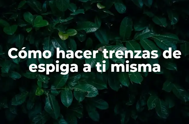 Cómo Hacer Trenzas de Espiga a Ti Misma