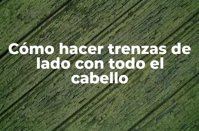 Cómo Hacer Trenzas de Lado con Todo el Cabello