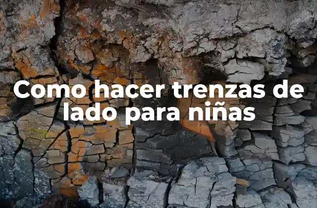 Como Hacer Trenzas de Lado para Niñas