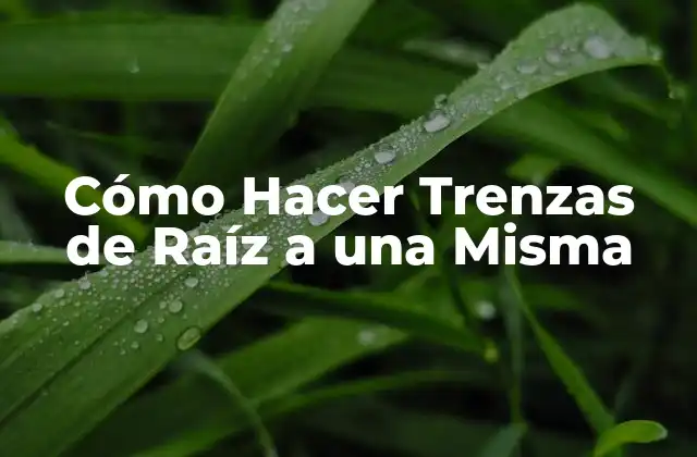 Cómo Hacer Trenzas de Raíz a una Misma