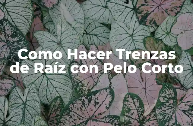 Como Hacer Trenzas de Raíz con Pelo Corto