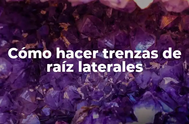 ¿Qué son las trenzas de raíz laterales?