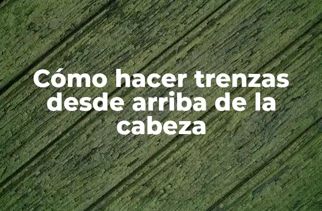 Cómo Hacer Trenzas desde Arriba de la Cabeza