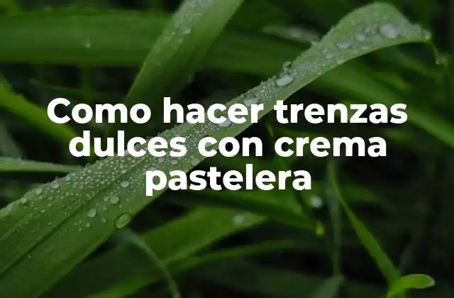 Como Hacer Trenzas Dulces con Crema Pastelera